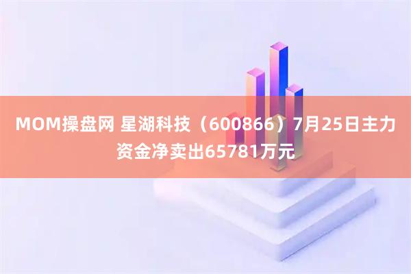 MOM操盘网 星湖科技（600866）7月25日主力资金净卖出65781万元